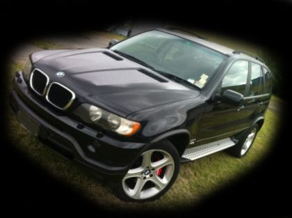 Степенки BMW X5 Е53 (1999-2006) - Image 3